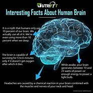 Image result for Interesting Brain Facts