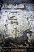 Image result for Beware of Dog Pompeii