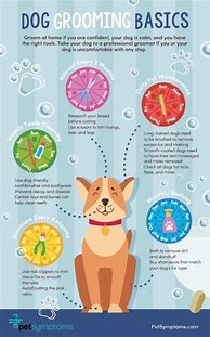 Image result for Dog Grooming Ideas