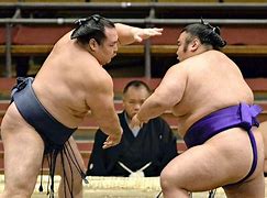 Image result for Sumo Mawashi