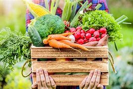 Image result for Farmers Market Fruits and Vegetables