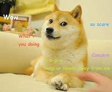 Image result for Doge Meme Breed