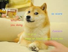 Image result for Banana Doge Meme