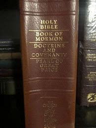 Image result for Book of Mormon Scriptures Verses
