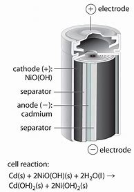 Image result for Cell to Body Battery