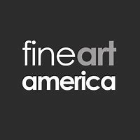 Image result for Art in America Logo