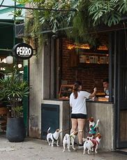Image result for Cafeteria Pet Friendly