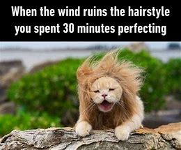 Image result for Funny Windy Day Memes