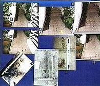 Image result for Bloody Shoe Print O.J. Simpson Case