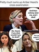 Image result for Funny Amber Heard Memes