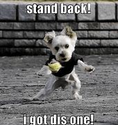 Image result for Got It Dog Meme