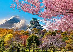 Image result for Osaka Cherry Blossom Wallpaper
