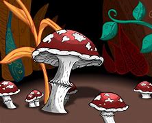 Image result for Alice Wonderland Mushrooms