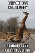 Image result for Funny Giraffe Memes