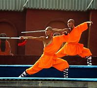 Image result for Art of Kung Fu