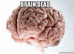 Image result for Brain Dead Meme