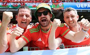 Image result for Wales Bucket Hat Fans