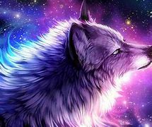 Image result for Space Wolf Funny Background