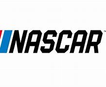 Image result for NASCAR Icon