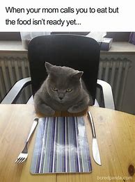 Image result for Memes About Free Food