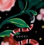 Image result for Yamaguchi Gucci PFP