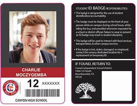 Image result for What Is a School ID