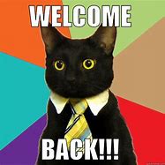 Image result for Welcome Back Cat Meme