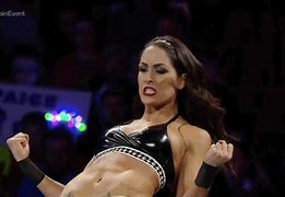 Image result for WWE Brie Bella