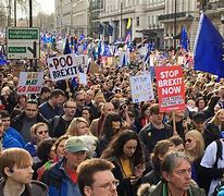 Image result for Steampunk Brexit Protest