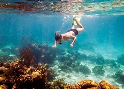 Image result for Best Snorkeling in Maui