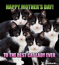 Image result for Crazy Cat Lady Funny Mother's Day