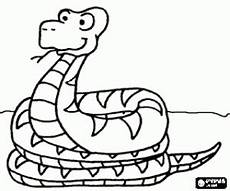 ausmalbilder reptilien malvorlagen ausmalbilder reptilien malvorlagen 2 ausmalbilder reptilien malvorlagen ausmalbilder reptilien malvorlagen 2