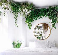 Image result for Vines by the Window Corners Room Decor