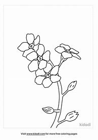 Image result for Forget Me Not Coloring Page