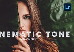 Image result for True to Tone Presets