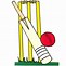Image result for Cricket Pictures Clip Art