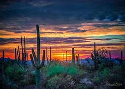 Image result for Desert Sunset Tucson Arizona