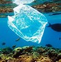 Image result for Great Garbage Patch Killing Animals