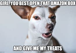 Image result for Amazon Dog Meme