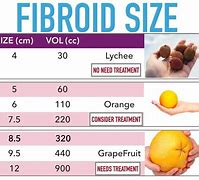 Image result for Fibroid Size Orange