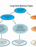 Image result for An Example of the Difference Between History and Memory