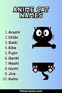 Image result for Anime Cat Names