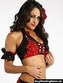 Image result for WWE Nikki Bella Pink
