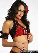 Image result for Nikki Bella WWE Photo Shoot