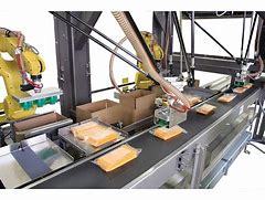 Image result for Industrial Packaging Robots