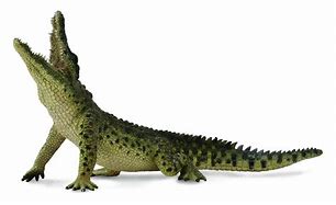 Image result for African Crocodile Transparent