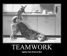 Image result for Funny Quotes About Teamwork in the Workplace