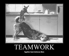 Image result for Amazing Teamwork Meme