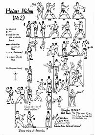 Image result for Shotokan Stances