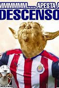 Image result for Liga MX Chivas Memes